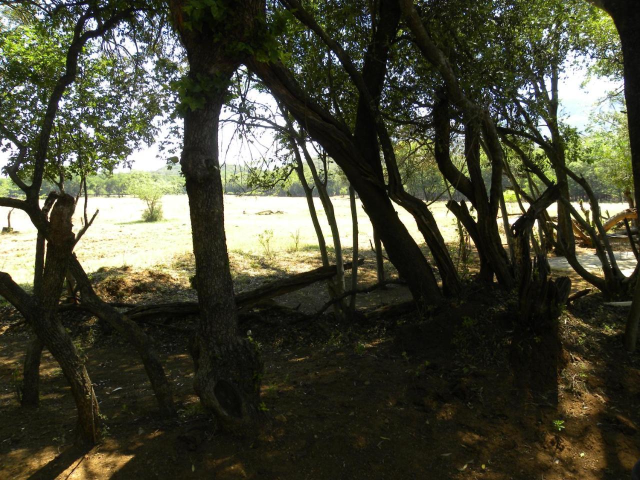 Harties Is Africa Safari Lodge Kosmos エクステリア 写真